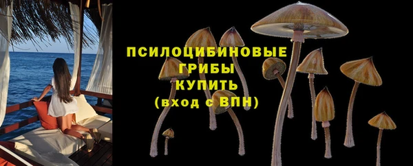 ешки Аркадак