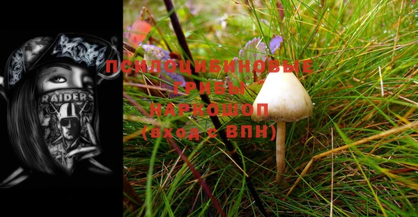 бошки Балахна