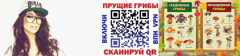 Псилоцибиновые грибы прущие грибы  Суздаль 